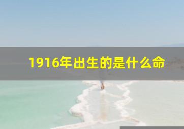 1916年出生的是什么命