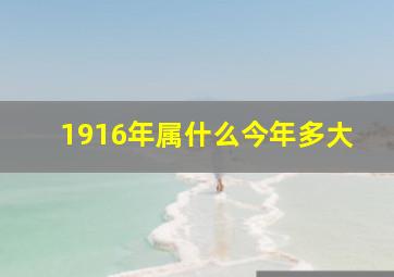 1916年属什么今年多大