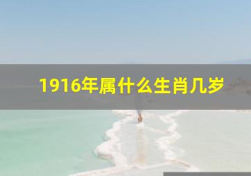 1916年属什么生肖几岁