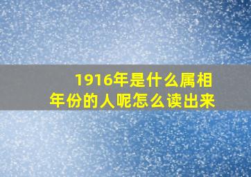 1916年是什么属相年份的人呢怎么读出来