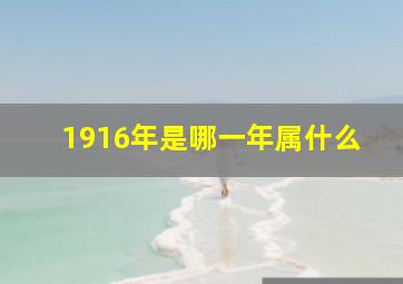 1916年是哪一年属什么