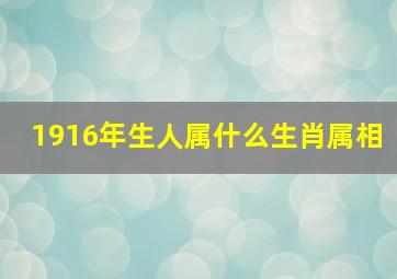 1916年生人属什么生肖属相