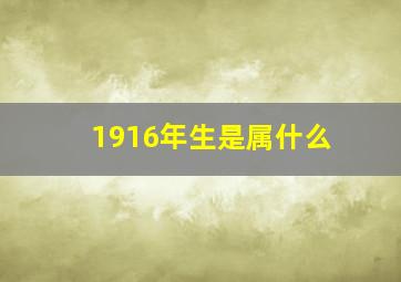 1916年生是属什么