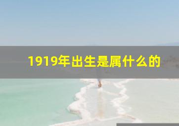 1919年出生是属什么的