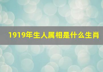 1919年生人属相是什么生肖