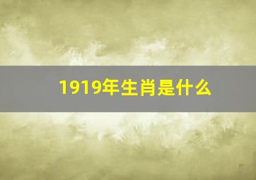 1919年生肖是什么