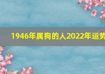 1946年属狗的人2022年运势