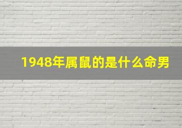 1948年属鼠的是什么命男