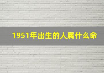 1951年出生的人属什么命