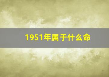 1951年属于什么命