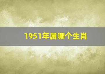 1951年属哪个生肖