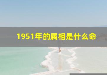 1951年的属相是什么命