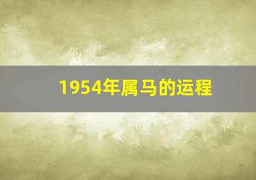 1954年属马的运程