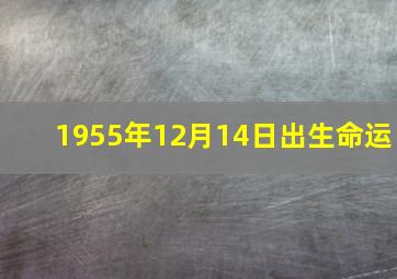 1955年12月14日出生命运