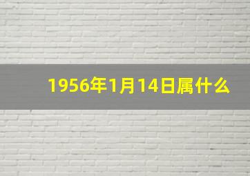 1956年1月14日属什么