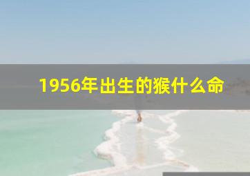 1956年出生的猴什么命