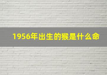 1956年出生的猴是什么命