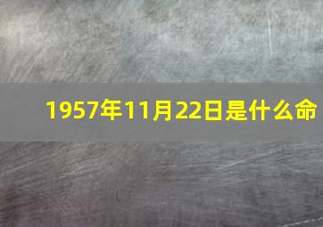 1957年11月22日是什么命