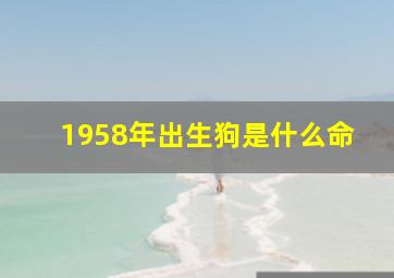 1958年出生狗是什么命