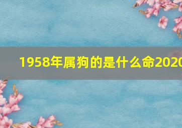 1958年属狗的是什么命2020