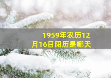 1959年农历12月16日阳历是哪天