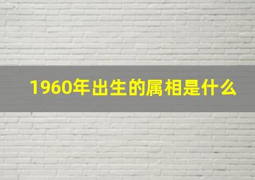 1960年出生的属相是什么