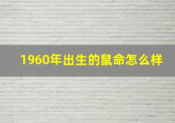 1960年出生的鼠命怎么样