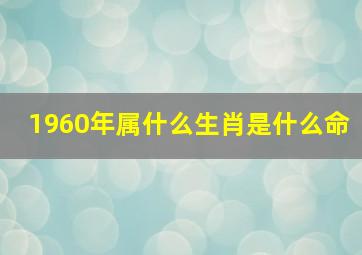 1960年属什么生肖是什么命