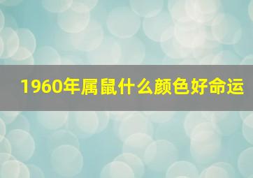 1960年属鼠什么颜色好命运