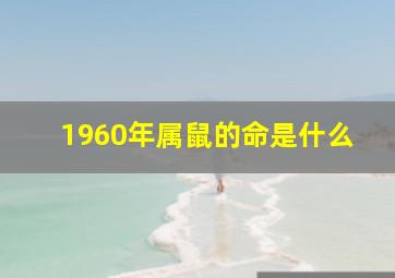 1960年属鼠的命是什么