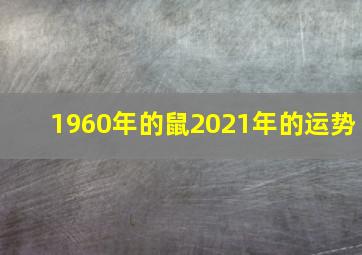 1960年的鼠2021年的运势