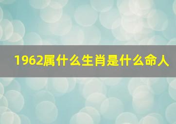 1962属什么生肖是什么命人