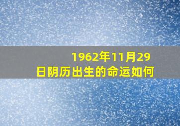 1962年11月29日阴历出生的命运如何