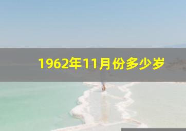 1962年11月份多少岁