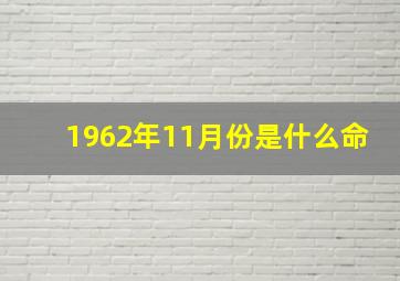 1962年11月份是什么命