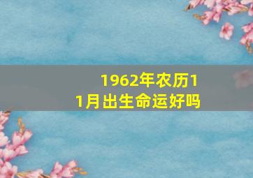 1962年农历11月出生命运好吗