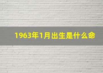 1963年1月出生是什么命