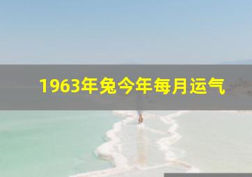 1963年兔今年每月运气