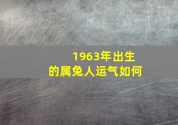 1963年出生的属兔人运气如何