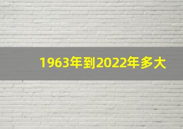 1963年到2022年多大