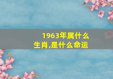 1963年属什么生肖,是什么命运