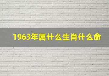 1963年属什么生肖什么命