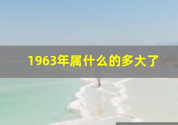 1963年属什么的多大了