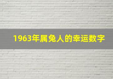 1963年属兔人的幸运数字