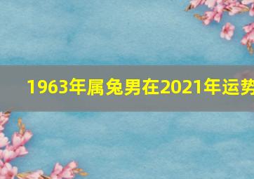 1963年属兔男在2021年运势