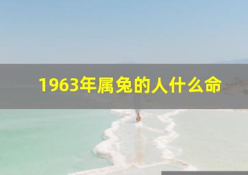 1963年属兔的人什么命