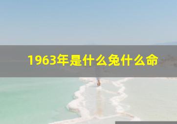 1963年是什么兔什么命