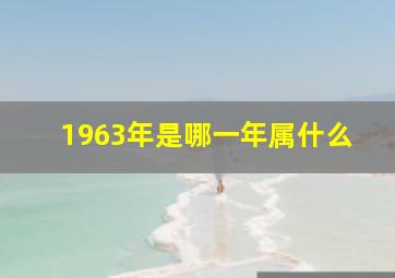 1963年是哪一年属什么