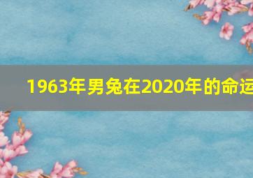 1963年男兔在2020年的命运