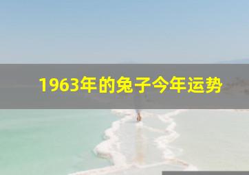 1963年的兔子今年运势